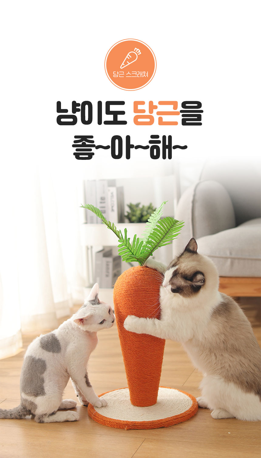 [무료배송] 멍냥이랑 당근 스크래쳐 S-XL 1번째