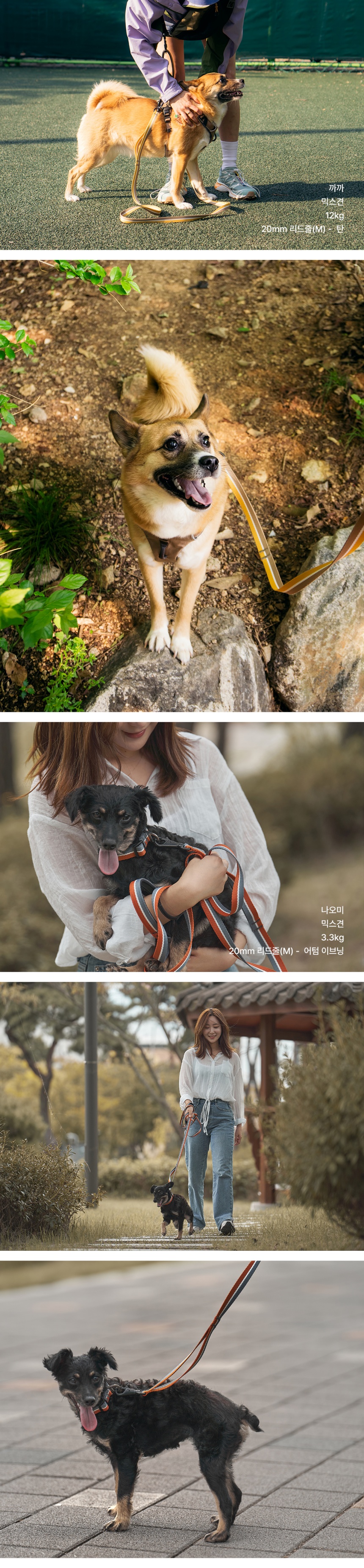 [여름특가][무료배송] 젠틀우프 워크하드 리드줄 자체개발 웨빙 (8color/3size) 4번째
