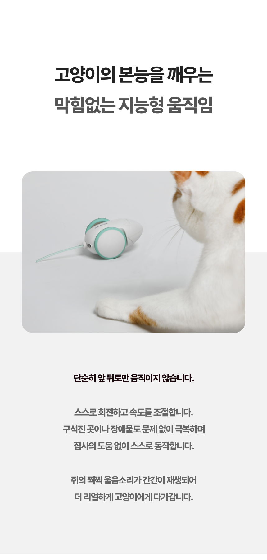 [무료배송] kmmmm 스마트 마우스 장난감 4번째