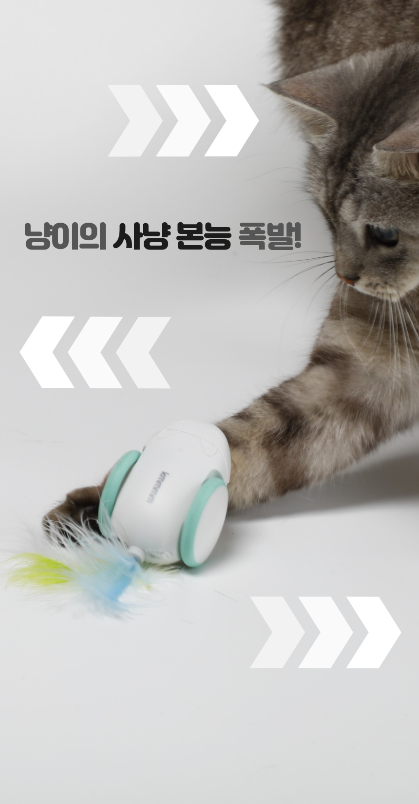 [무료배송] kmmmm 스마트 마우스 장난감 3번째