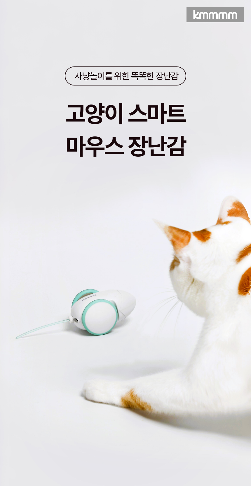 [무료배송] kmmmm 스마트 마우스 장난감 1번째