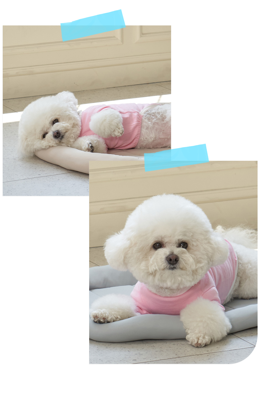 [NEW신상][무료배송] 개과천선 슬러시 링 쿨 방석 (크림 핑크/크림 초코/크림 그레이) 9번째