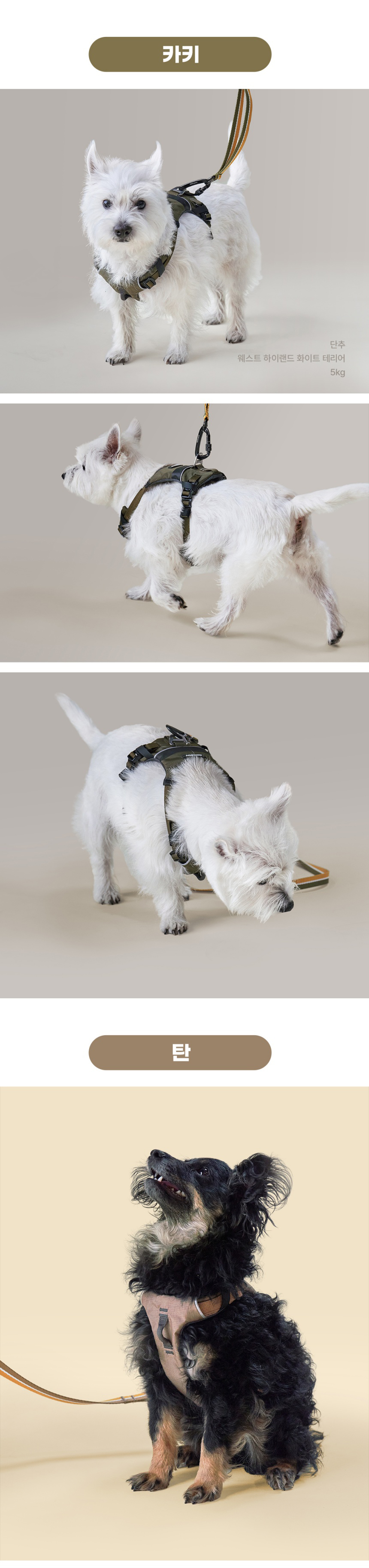 [무료배송] 젠틀우프 데이워커 하네스 중소형견용 (6color/3size) 4번째