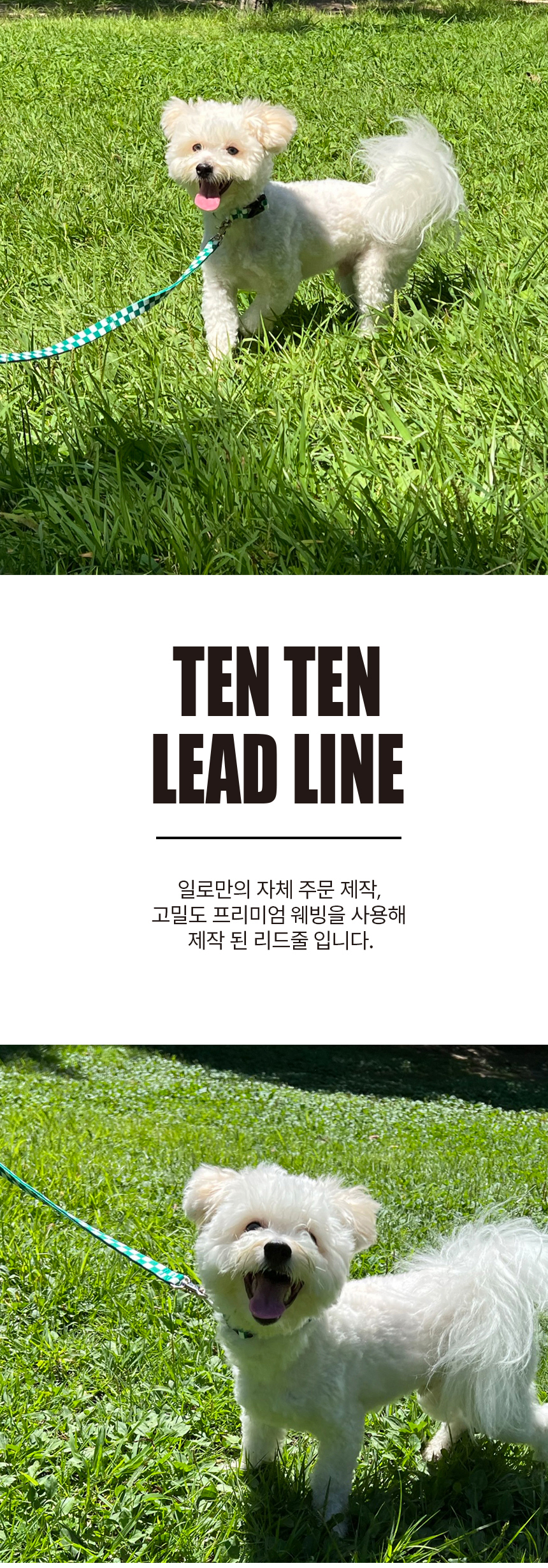 [무료배송] iLLO 텐텐 리드줄 그린 1번째