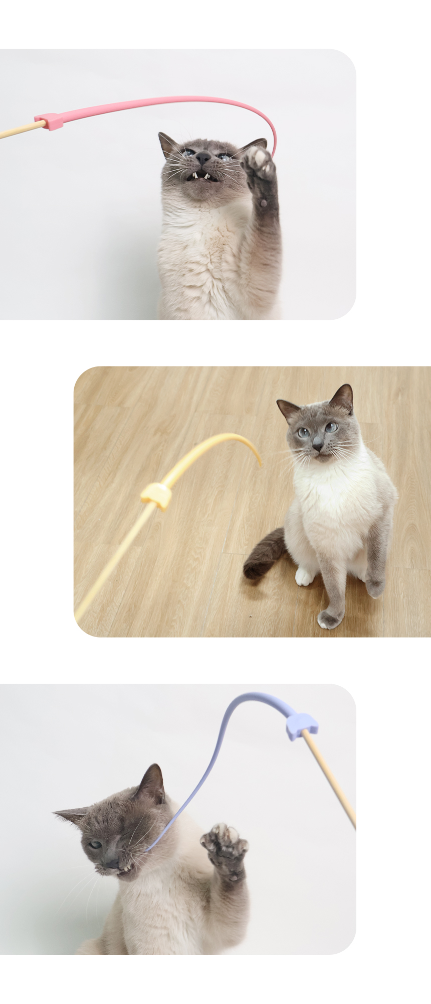 [무료배송] 올웨이즈올펫 캣 실리콘 쥐꼬리 낚시대 치즈/크림핑크/라벤터/파우더블루 3번째