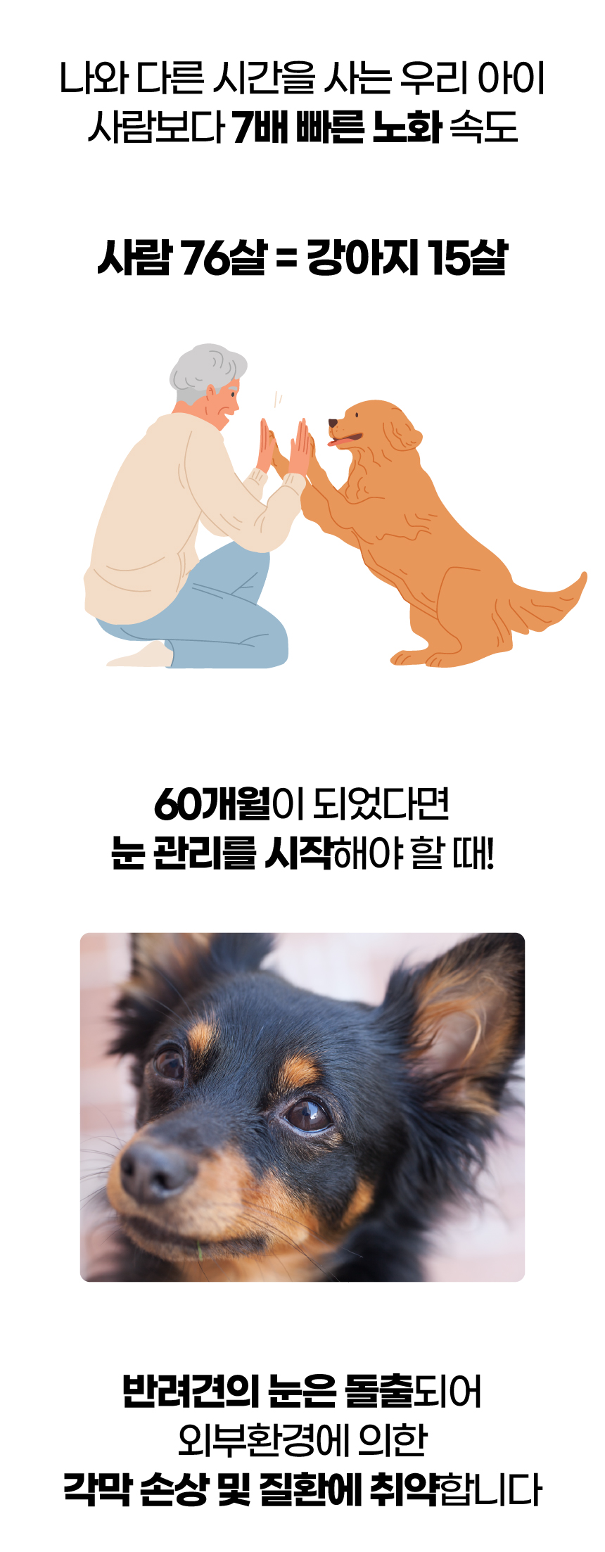 벨라맥스 SBS TV 동물농장 루테인 강아지 눈 영양제 150g 4번째