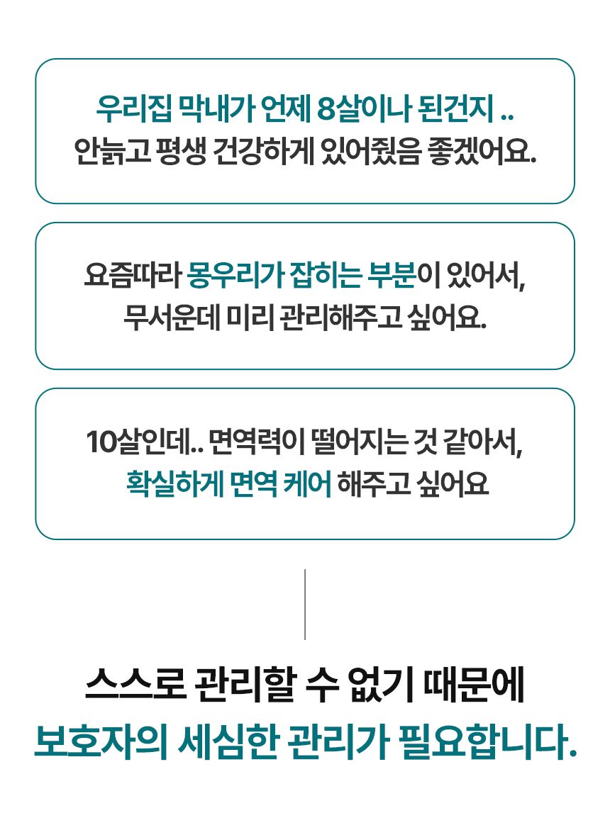 [심쿵펫페어]펫생각 독 데일리케얼 리얼 내추럴 후코이단 60g 1번째