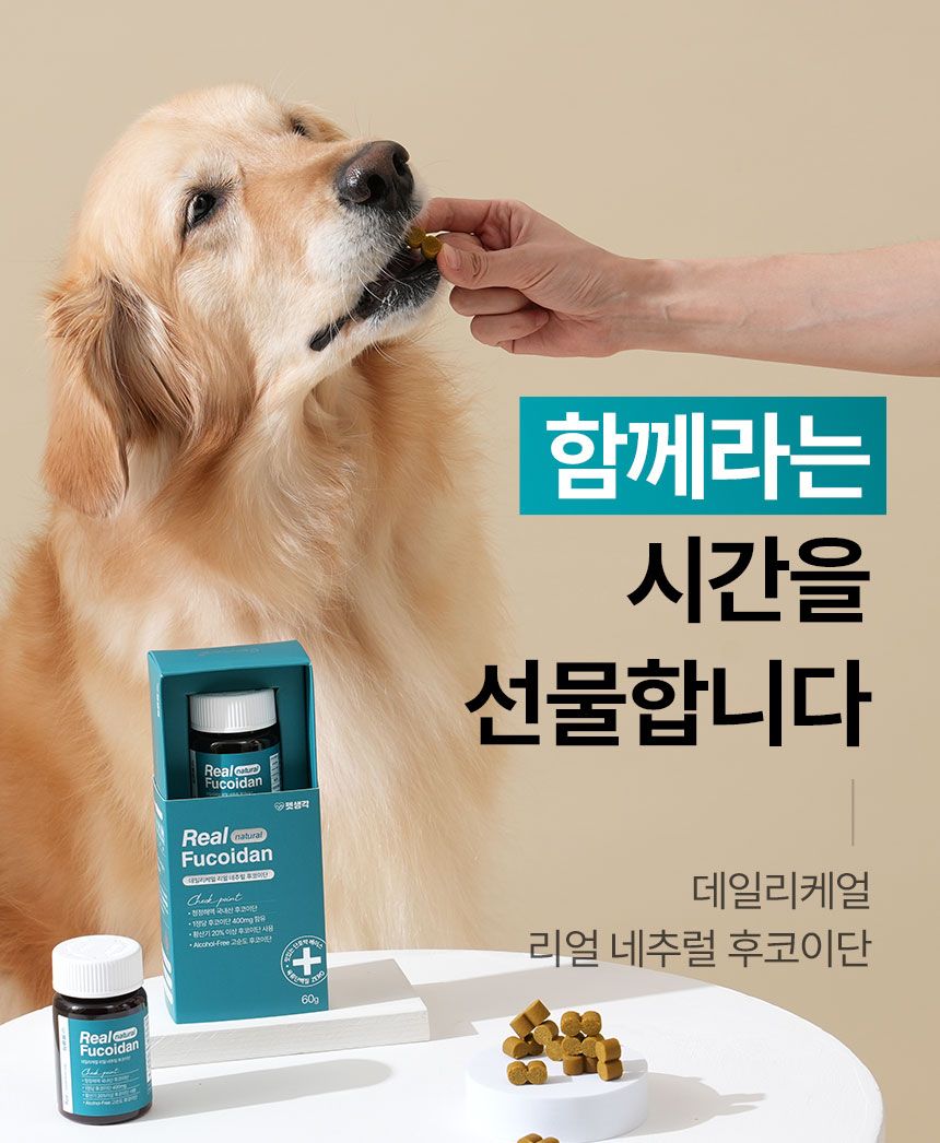 [심쿵펫페어]펫생각 독 데일리케얼 리얼 내추럴 후코이단 60g 4번째
