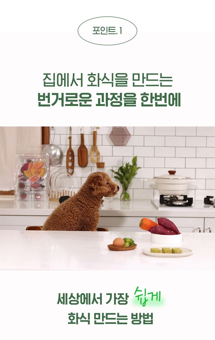 [NEW신상]알로키친 이뮨레드 (오리&캐롯비트) 16p 10번째