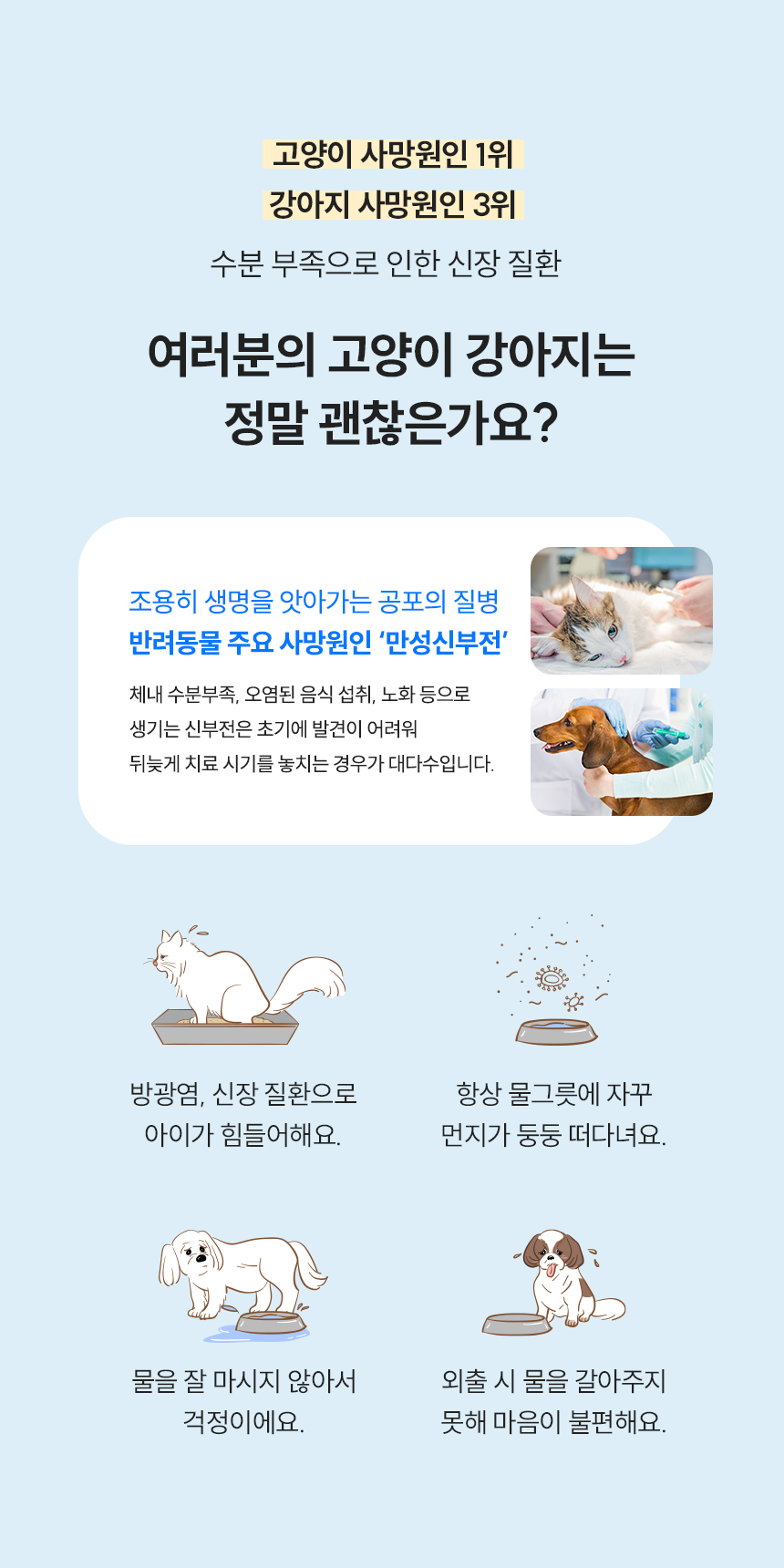 [무료배송] 스마트 펫 급식기 care +펫 정수기 올인원 (세트할인) 10번째
