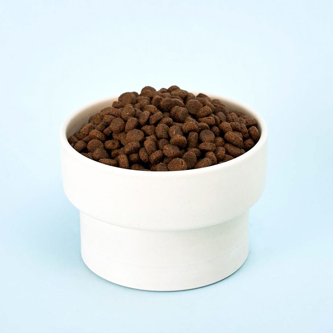 내추럴발란스 독 LI 그레인프리 연어&고구마 레시피 스몰브리드 11.8kg 2번