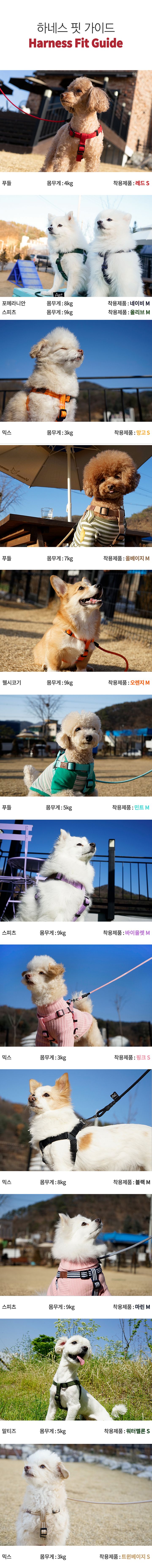 [무료배송] 아띠지기 Y형 하네스 민트 S-L 2번째