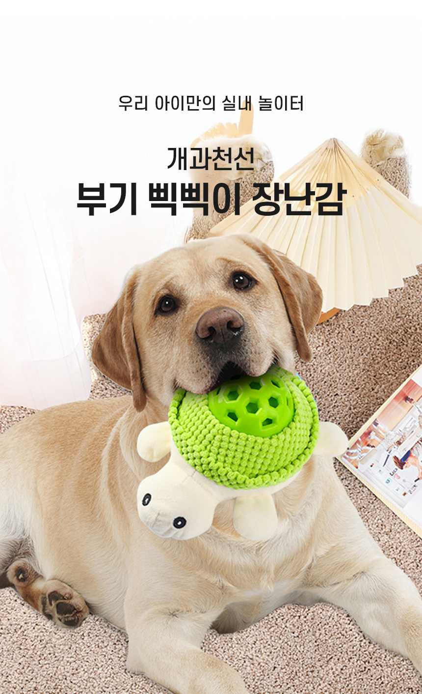 [NEW신상][무료배송] 개과천선 독 부기 삑삑이 노즈워크 장난감 (민트/그린) 2번째
