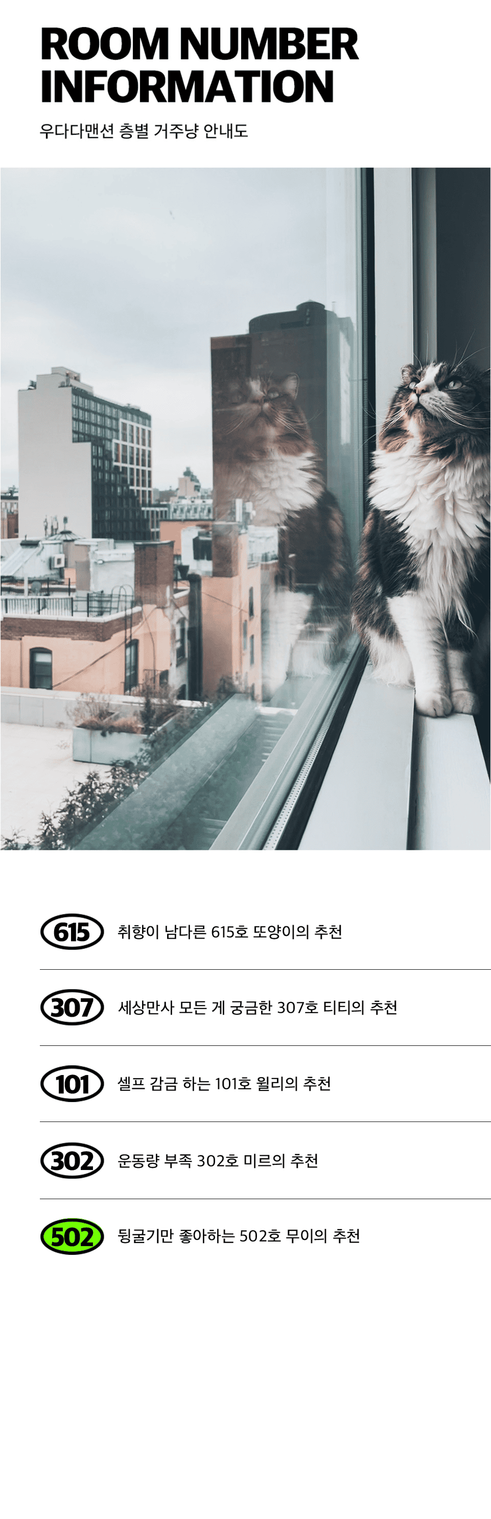 [NEW신상]우다다맨숀 스크래쳐 털클리너 9번째