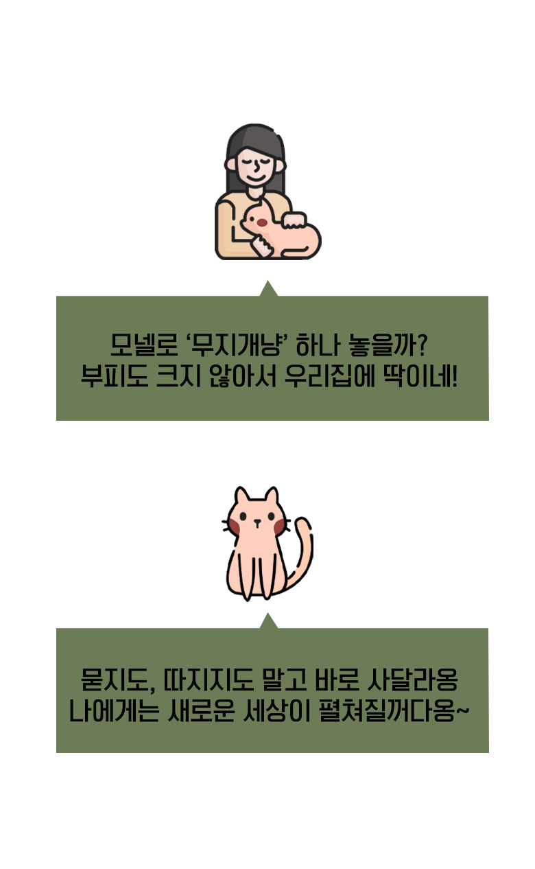 [무료배송] 모넬로 무지개냥 고양이 스텝 캣워크 선반 미니 계단 DO23100 7번째
