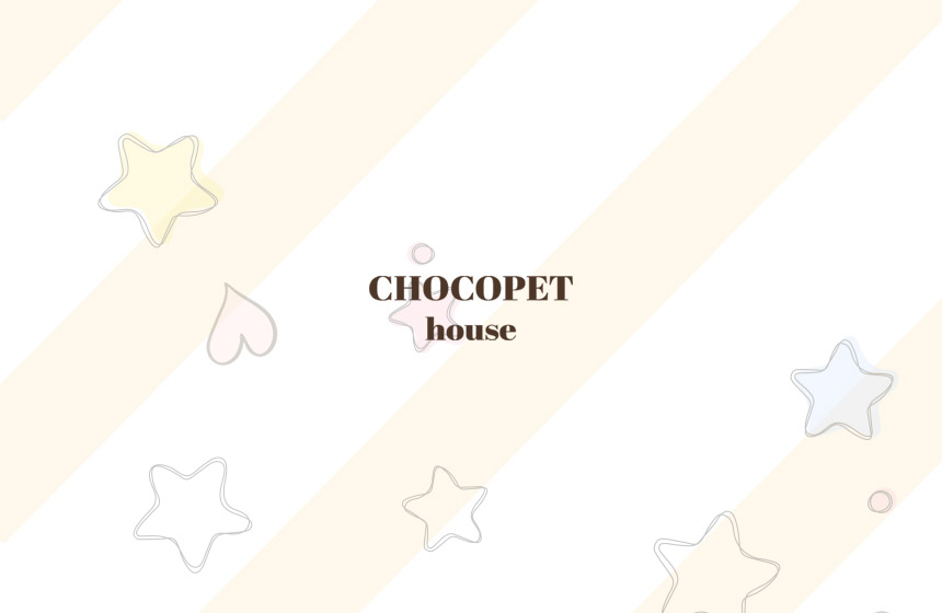 [무료배송] 초코펫하우스 고양이 숨숨집 반영구 스크래쳐 다기능 캣하우스 2.0 27번째