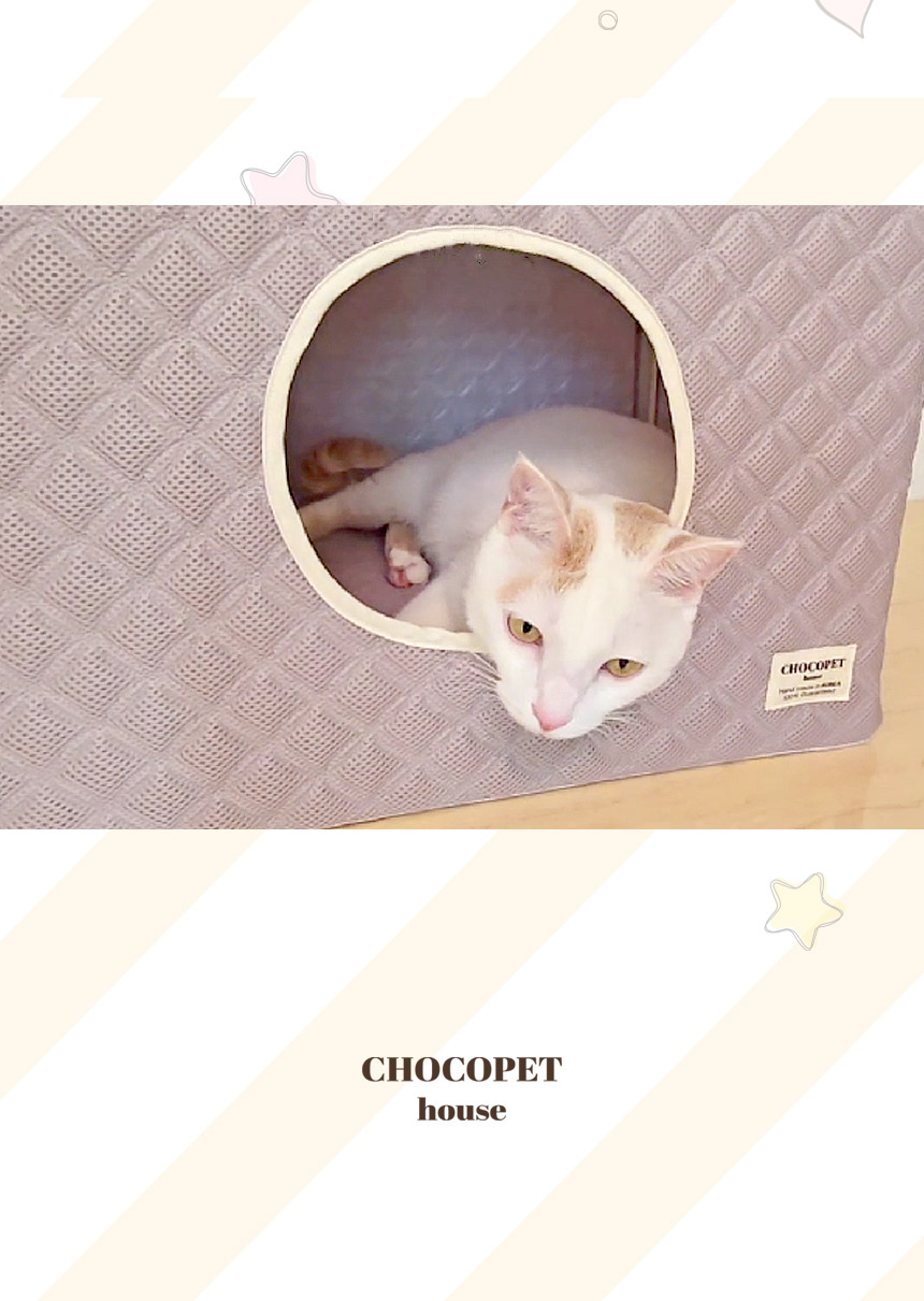 [무료배송] 초코펫하우스 고양이 숨숨집 반영구 스크래쳐 다기능 캣하우스 2.0 23번째