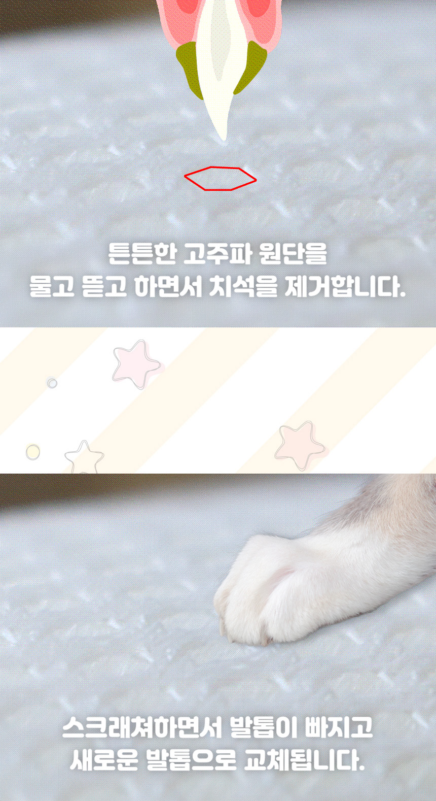 [무료배송] 초코펫하우스 고양이 숨숨집 반영구 스크래쳐 다기능 캣하우스 2.0 8번째