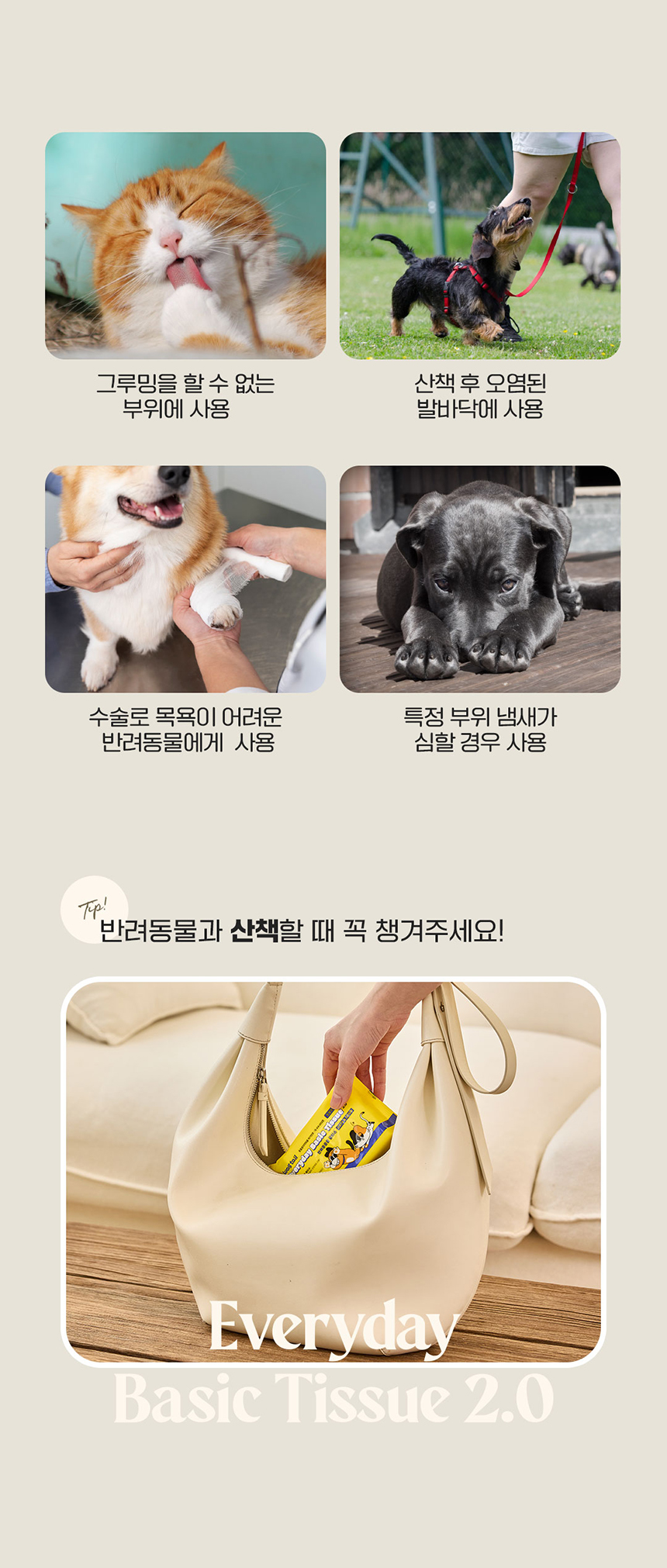 [무료배송] 웨그테일 에브리데이 베이직2.0물티슈 20매 20개 17번째