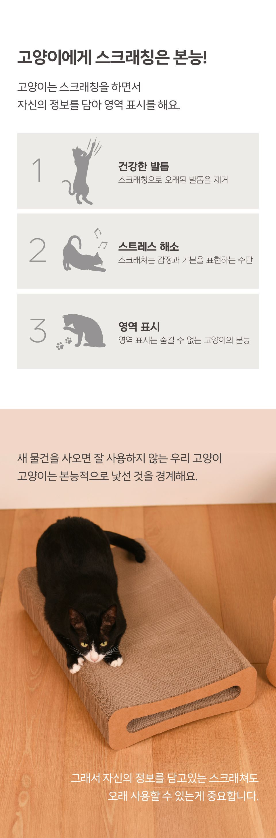 FAPER 오래 쓰는 터널 스크래쳐 290 2번째