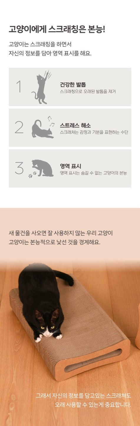FAPER 오래 쓰는 터널 스크래쳐 290 8번째