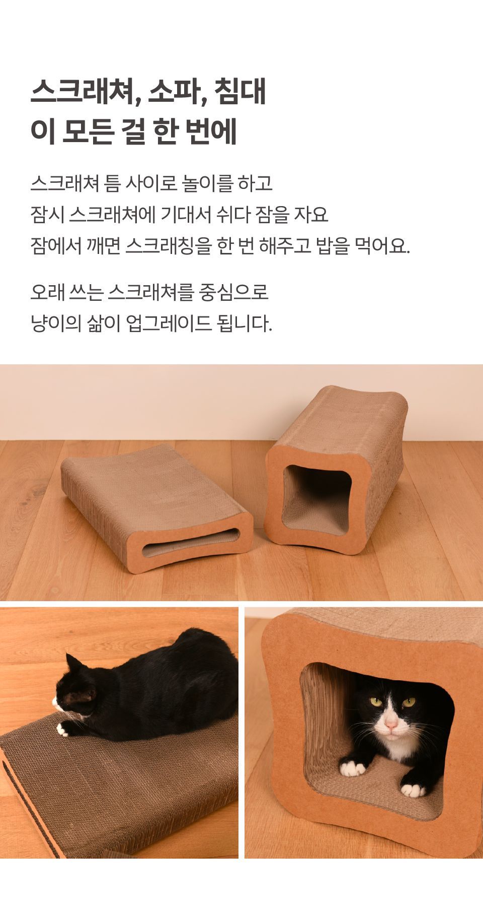 FAPER 오래 쓰는 터널 스크래쳐 290 6번째