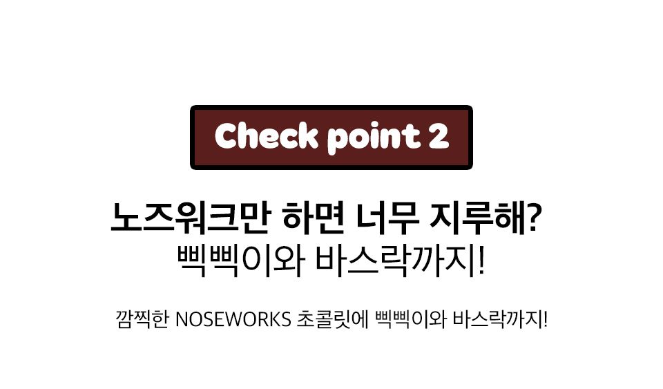 [기획전]7번버스 NOSEWORKS 초콜릿바 3번째