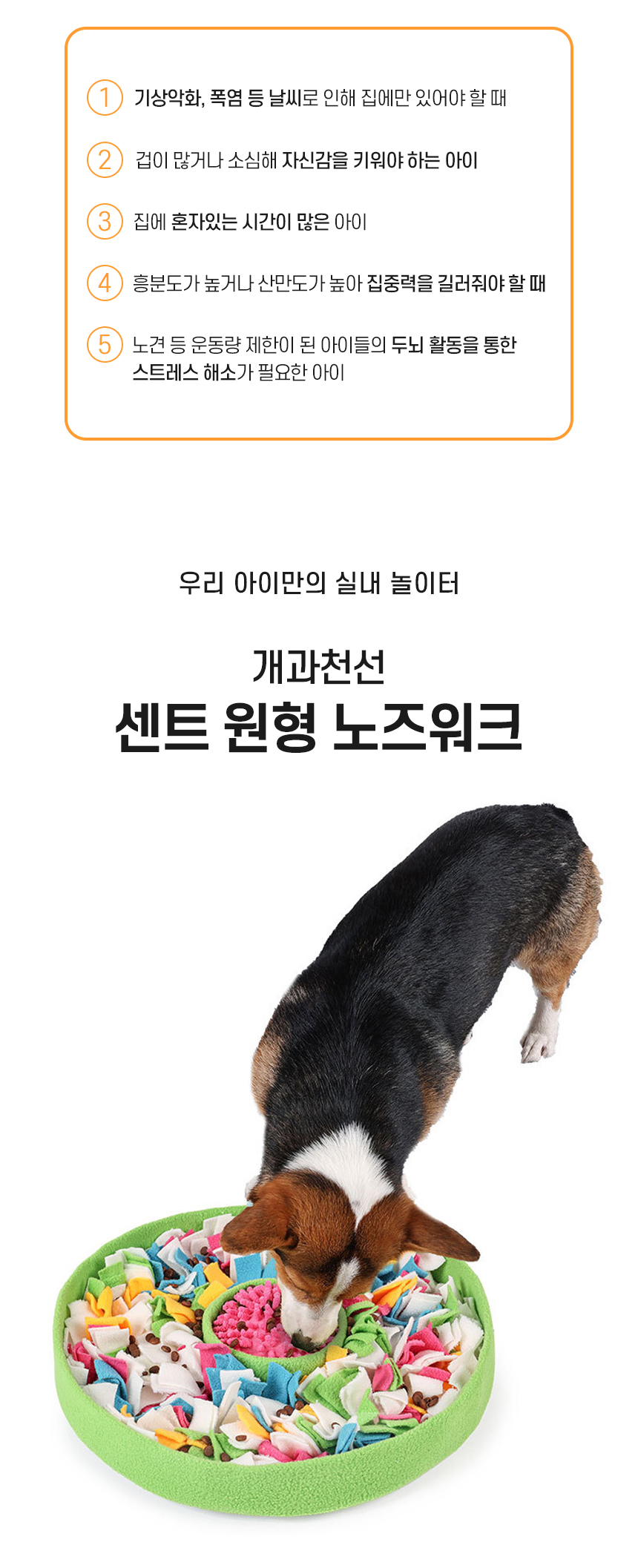 [NEW신상][무료배송] 개과천선 센트 원형 노즈워크 매트 2번째