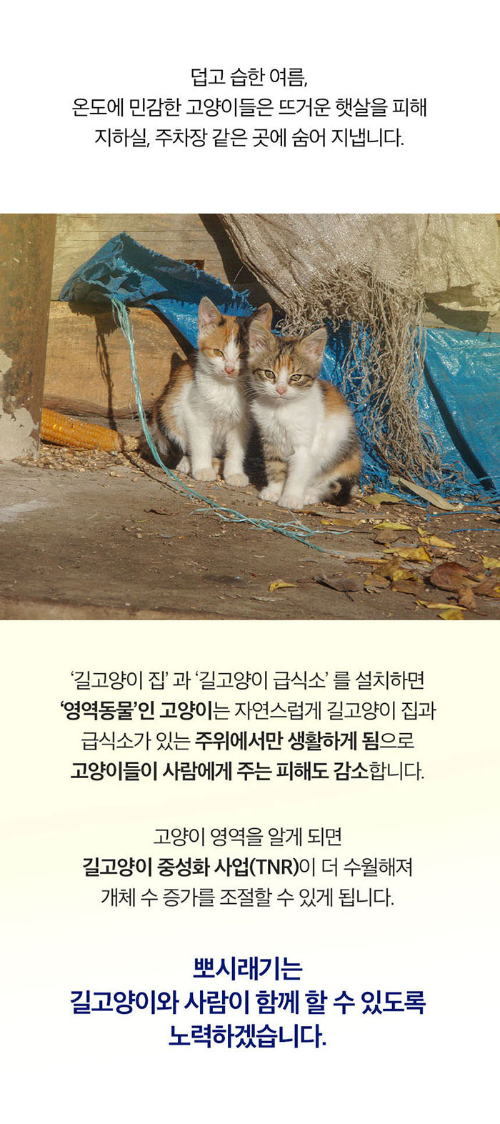 [NEW신상][무료배송] 뽀시래기 길고양이 여름집 야외 방수 하우스 2번째