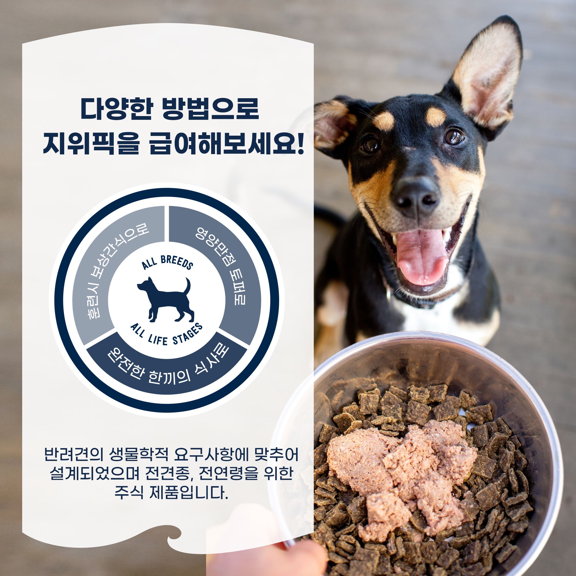 지위픽 독 양고기 캔 170g 4번
