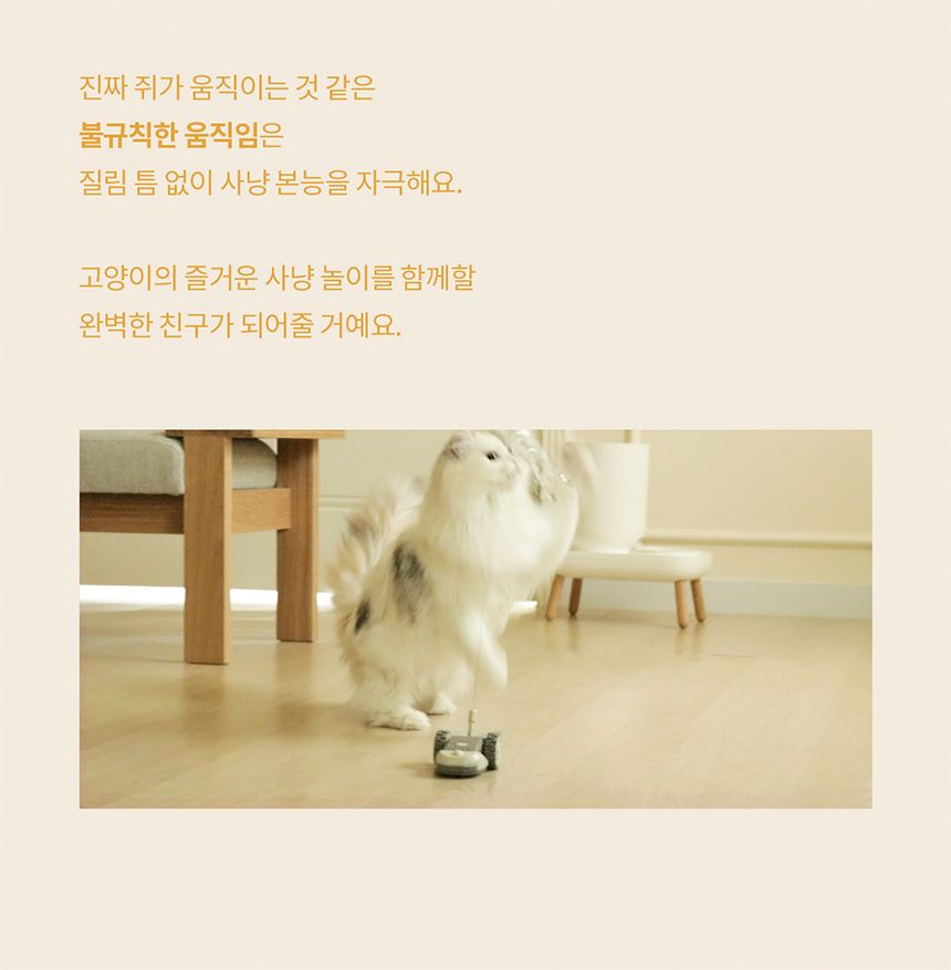 두잇 마우스봇 자동 장난감 7번째