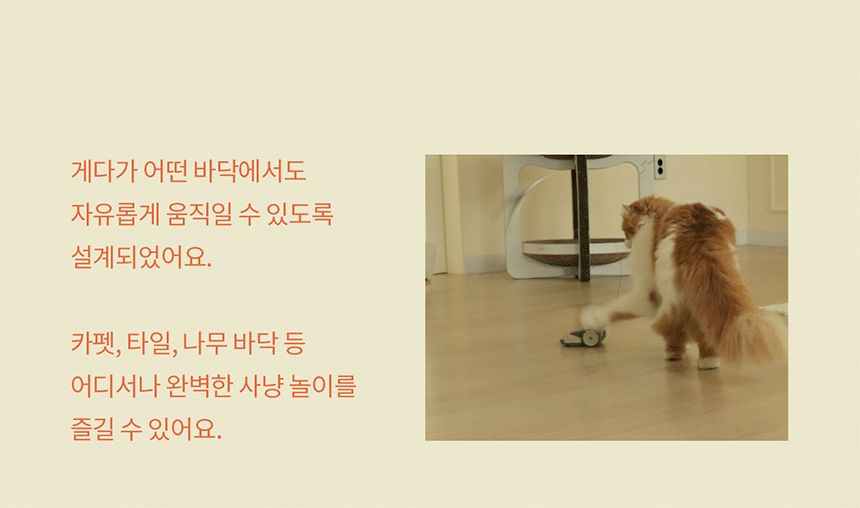 두잇 마우스봇 자동 장난감 11번째