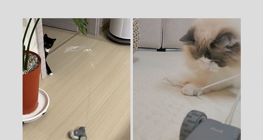 두잇 마우스봇 자동 장난감 26번째