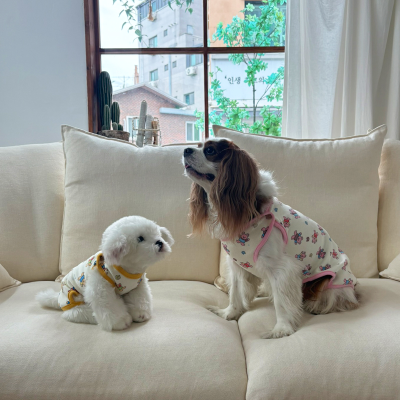 [NEW신상][무료배송] 해피댕댕 굿나잇 조끼&바디수트 2종 (핑크,옐로우) S-2XL 15번째