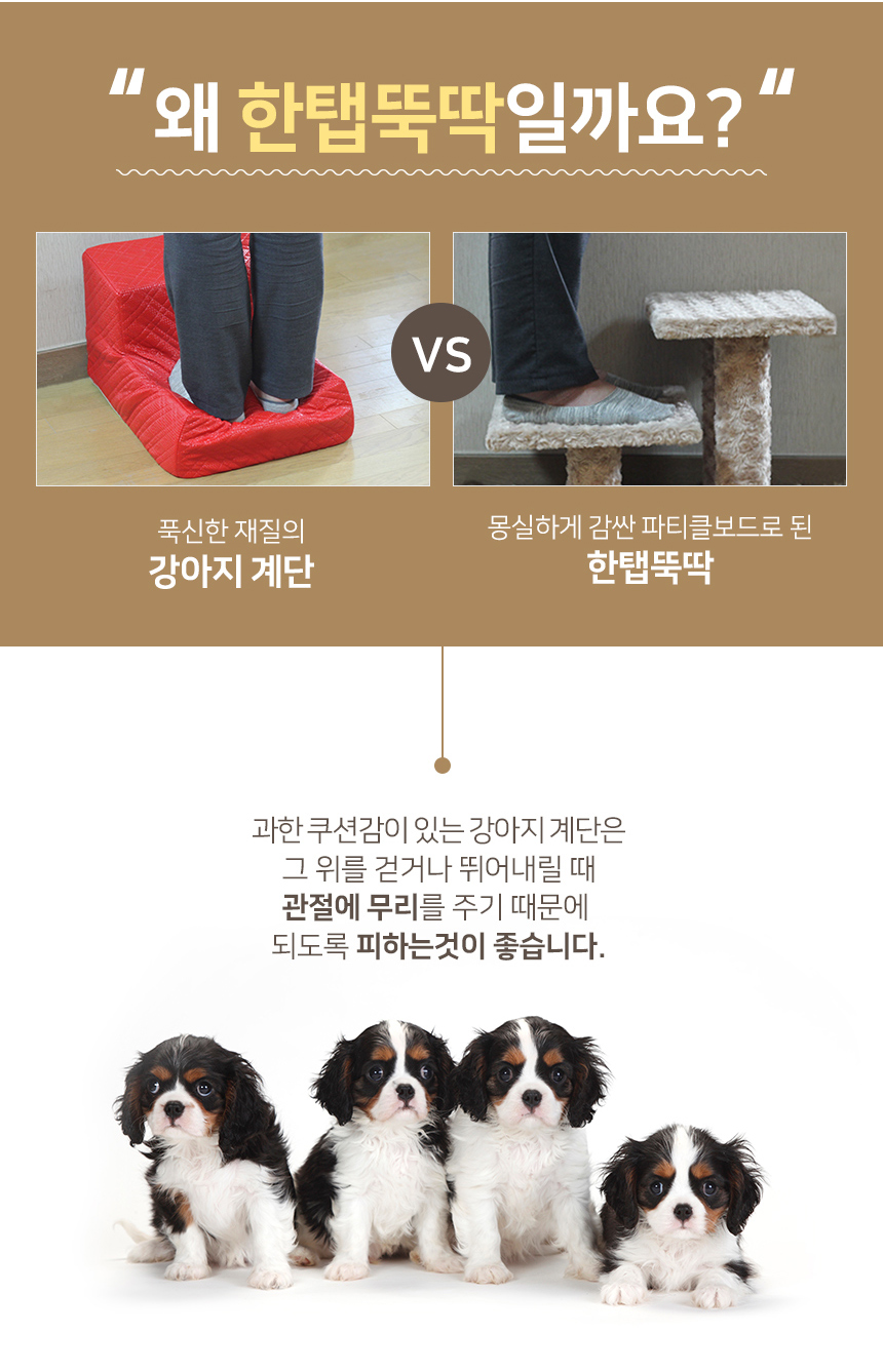 [NEW신상][무료배송] 펫토리아 한탭뚝딱 강아지 계단 2단 반달형 로즈패턴 (핑크/초코) 5번째
