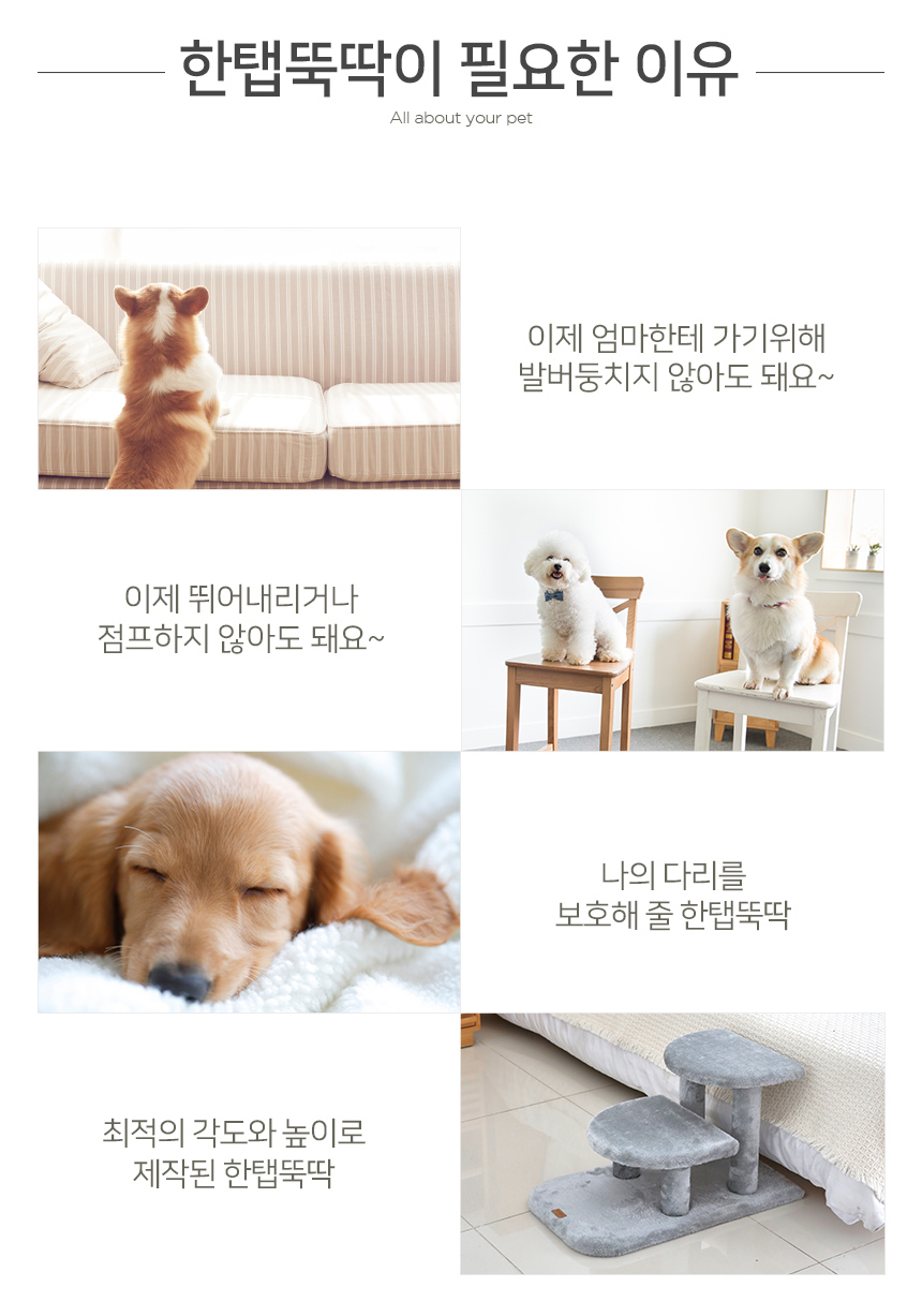 [NEW신상][무료배송] 펫토리아 한탭뚝딱 강아지 계단 2단 반달형 로즈패턴 (핑크/초코) 3번째