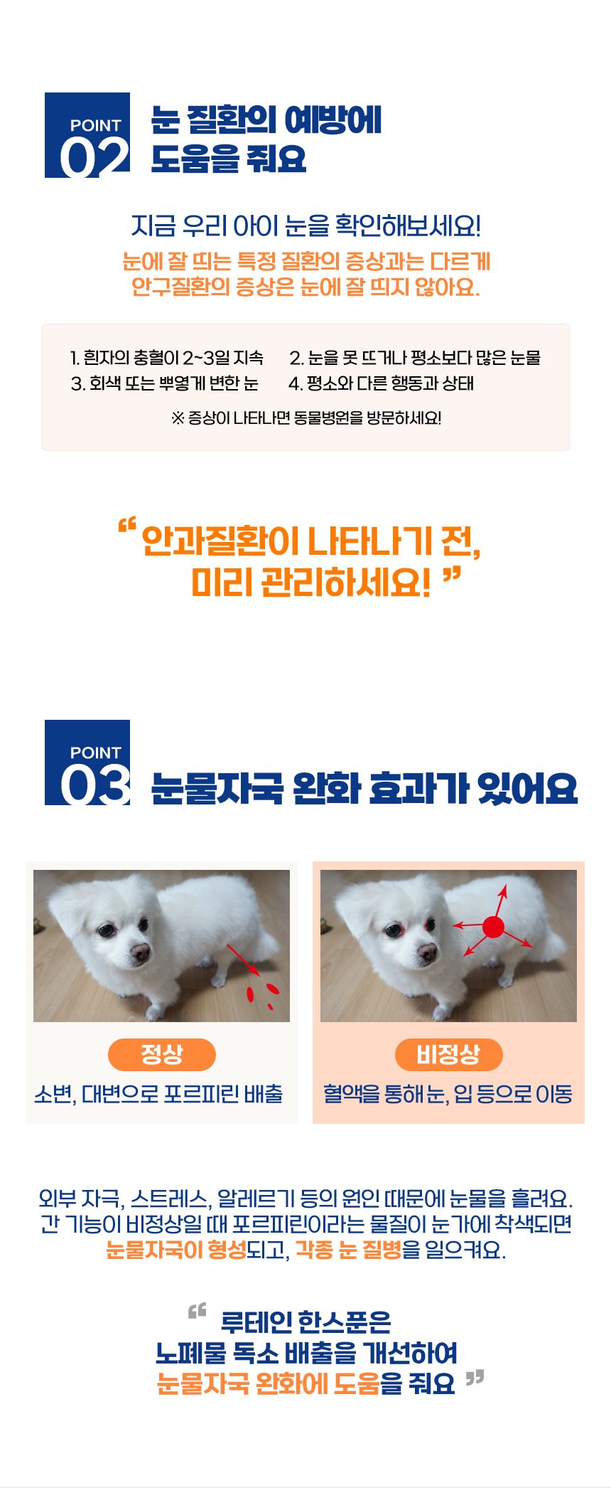  38.5 루테인 아스잔틴 한스푼 눈영양제 60g  6번째