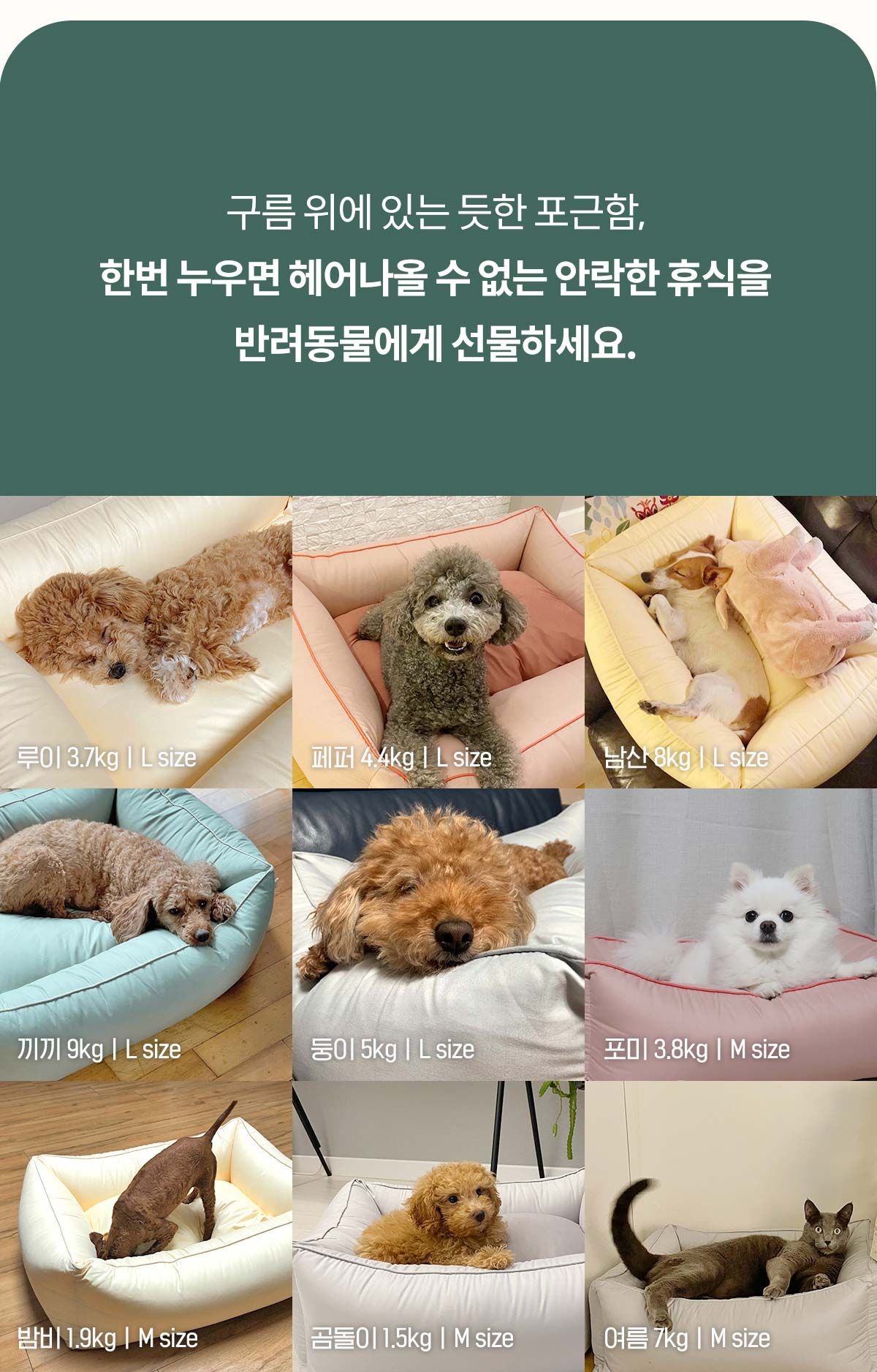[창고대방출] 아르르 꿀잠방석 V2 더스티로즈/더스티카키 M/L 23번째