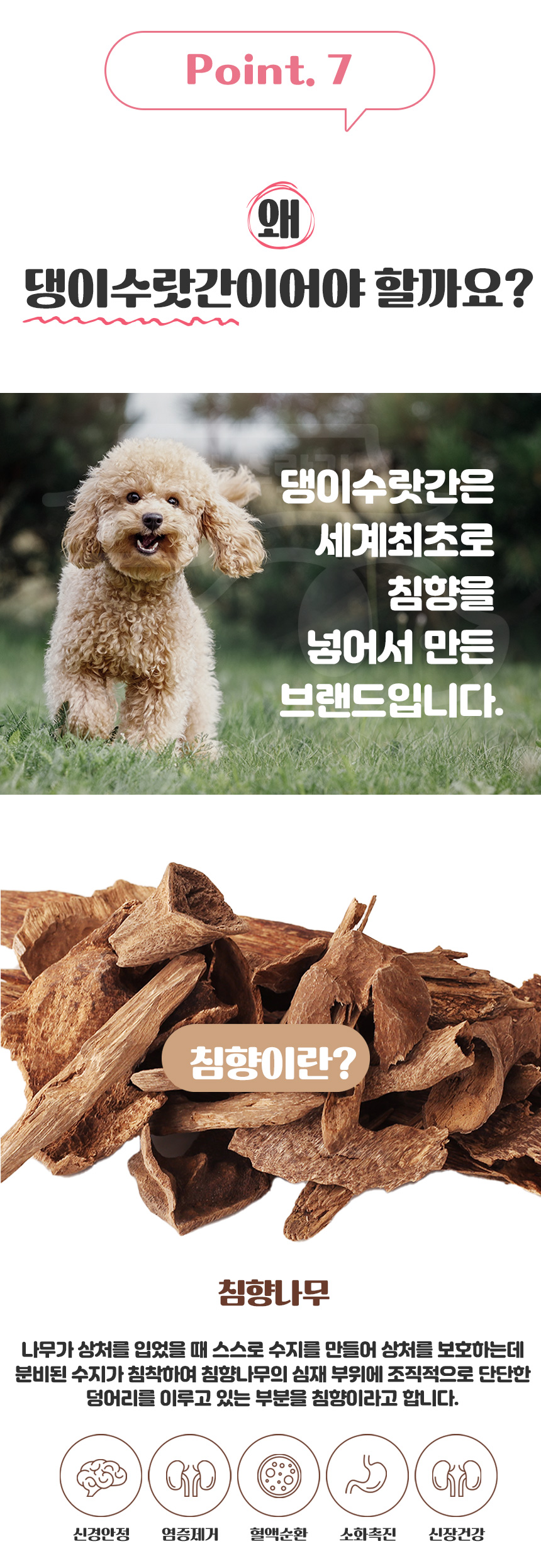 [무료배송] 댕이수랏간 침향 심장튼튼 영양제 100g 13번째