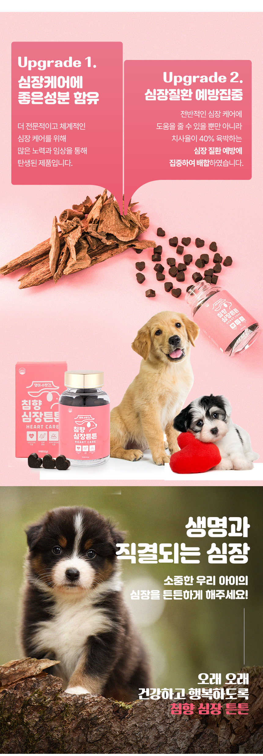 [무료배송] 댕이수랏간 침향 심장튼튼 영양제 100g 7번째