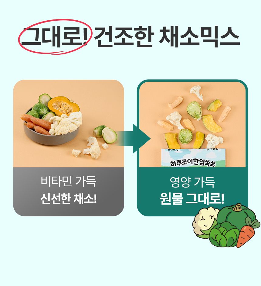 펫생각 독 하루조이 동결건조 야채믹스 25g 2번째 상세 이미지