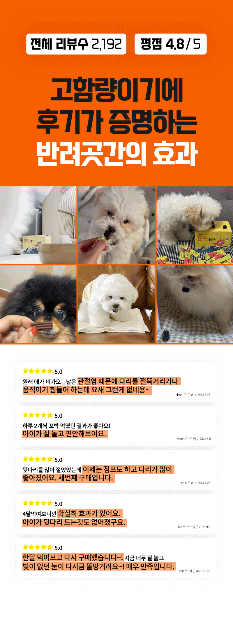 [무료배송] 반려곳간 독 관절영양제 트리플솔루션 관절케어 1박스 30매 5번째