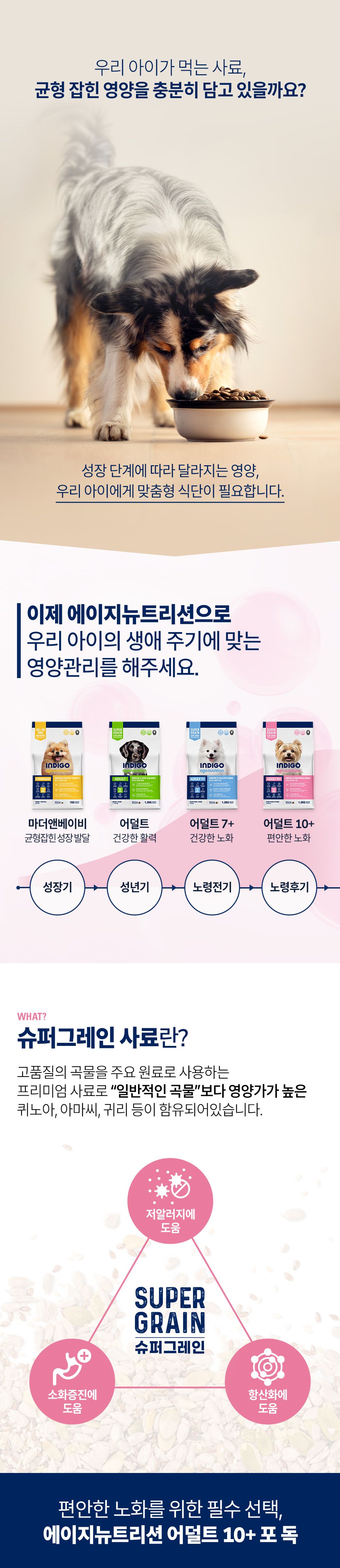 [사료샘플] 인디고 에이지뉴트리션 어덜트 10+ 포 독 40g 1번째