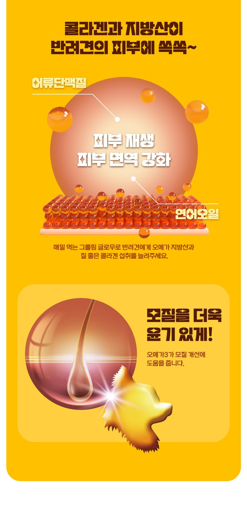 [사료샘플] 그롤링 독 글로우 아이케어 살몬 100g 17번째