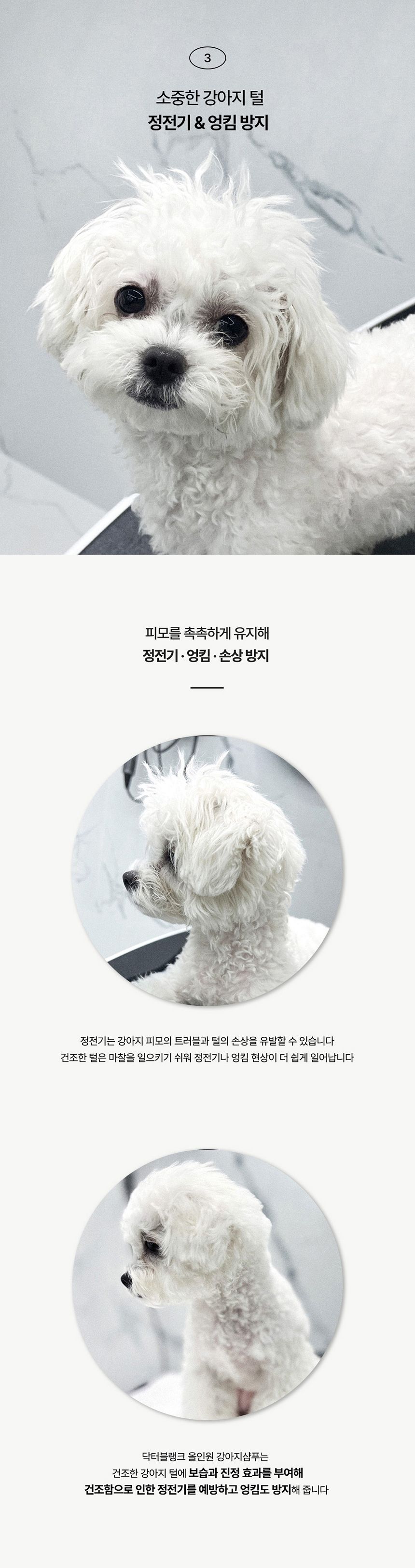 닥터블랭크 독 저자극 샴푸 화이트코튼향 500ml 7번째