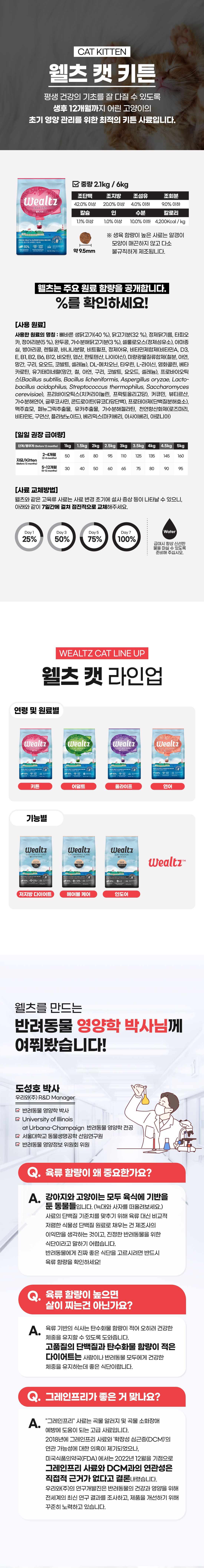 웰츠 캣 키튼 모음 4번째