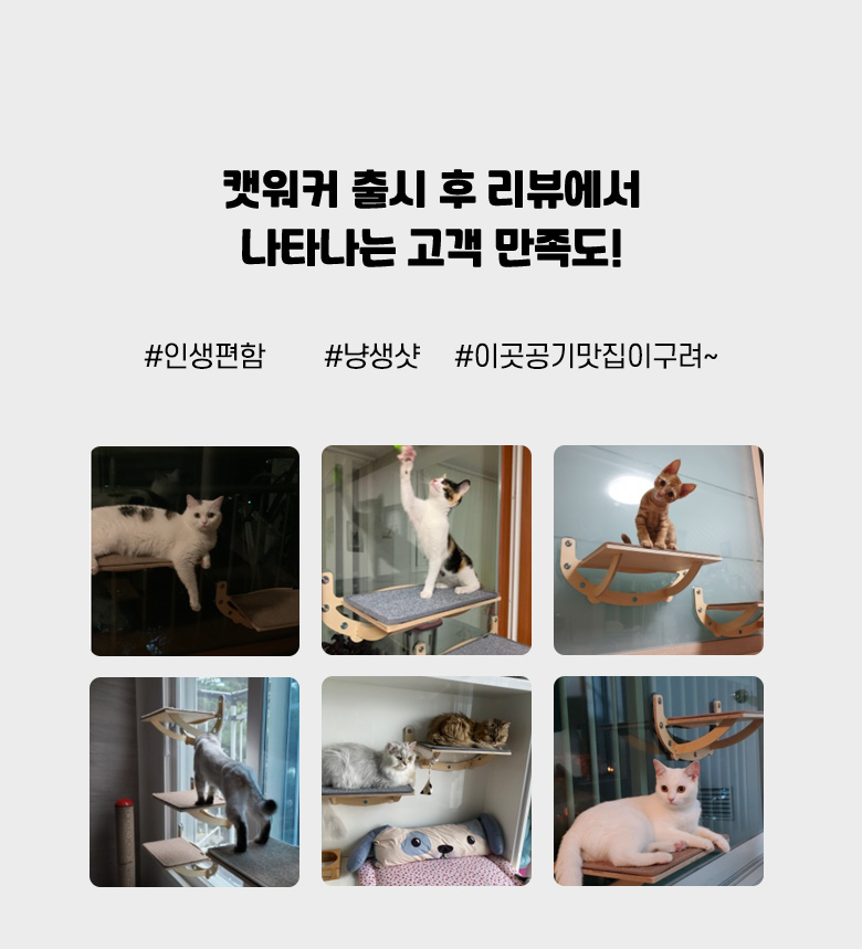 [무료배송] 모넬로 보리냥 윈도우 캣워커 캣타워 고양이 해먹 아크릴볼 GO22325 8번째