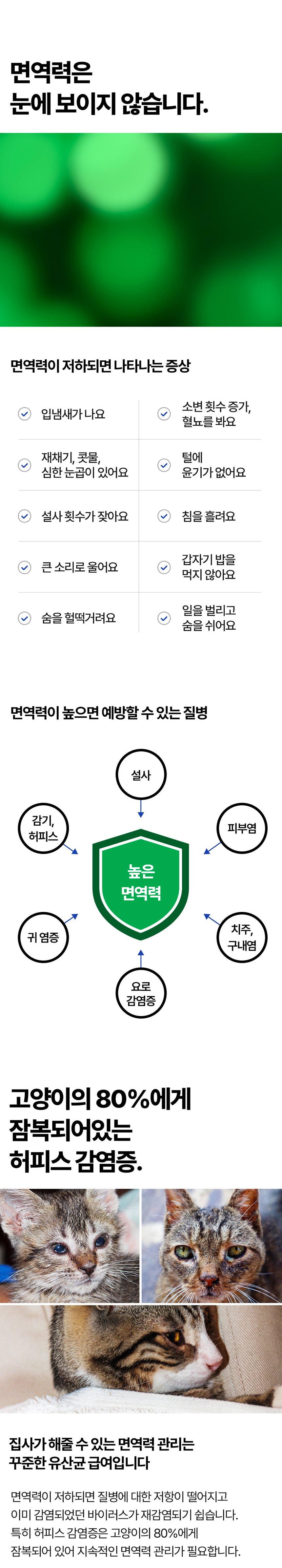 [NEW신상][무료배송] 요로캣 유카 유산균 60g (2g*30일) 4번째