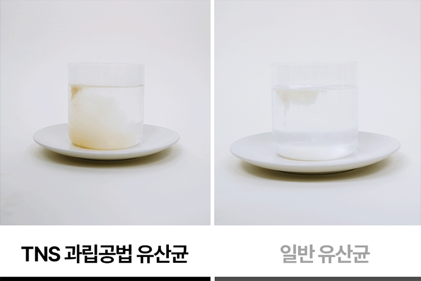 [NEW신상][무료배송] 요로캣 유카 유산균 60g (2g*30일) 10번째