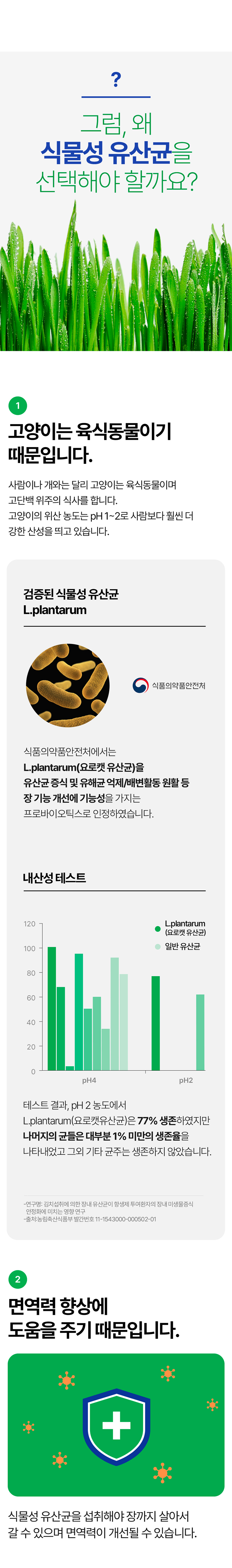 [NEW신상][무료배송] 요로캣 유카 유산균 60g (2g*30일) 5번째